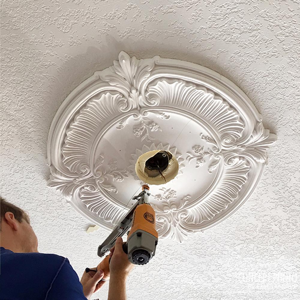 Americana Ekena Millwork CM14AXAMF 15OD x 1 3//4P Alexa Ceiling Medallion Fits Canopies up to 3