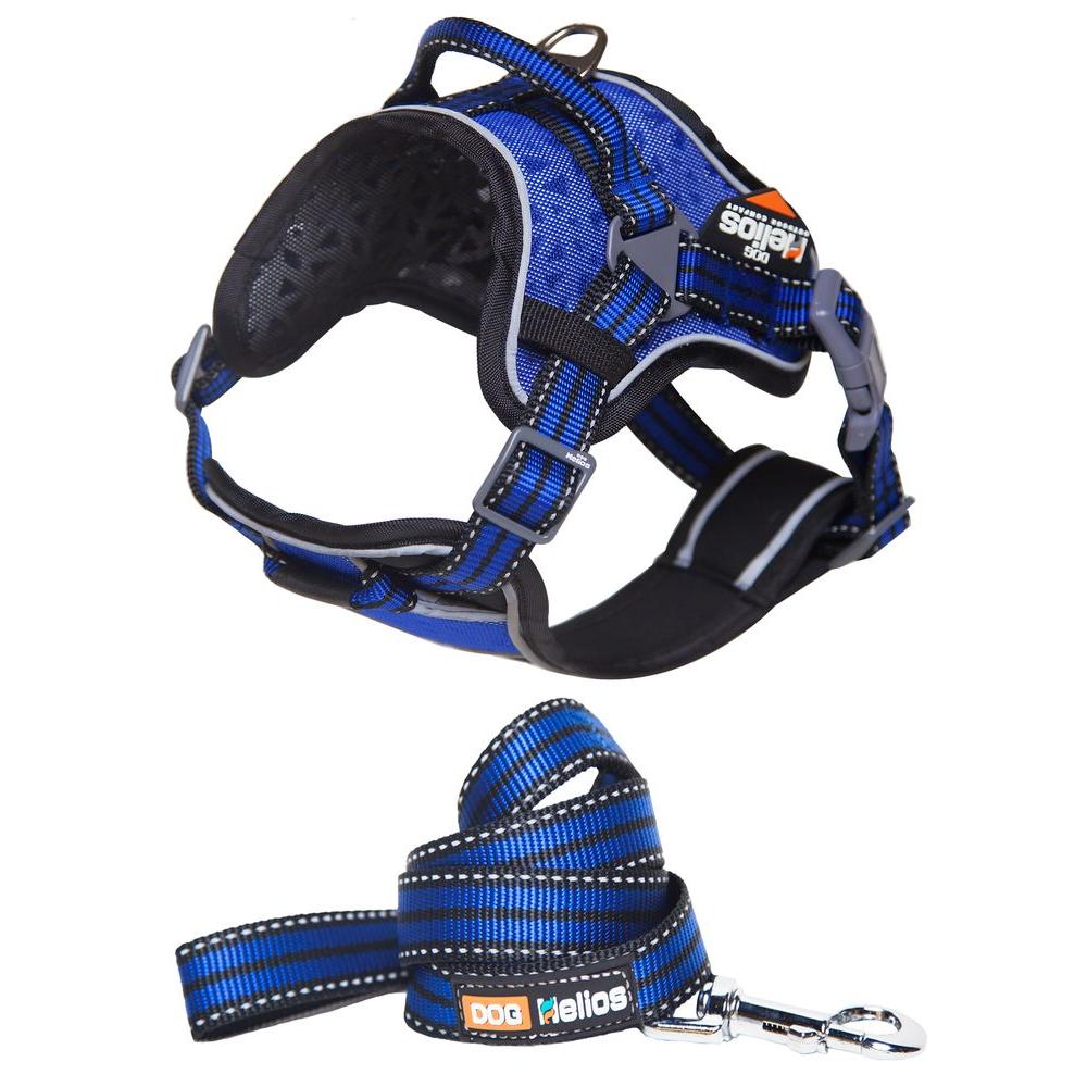 large dog harness and leash