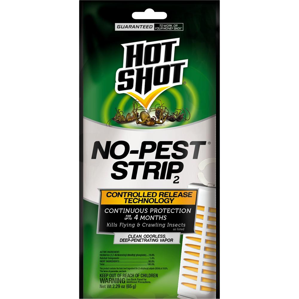RESCUE Disposable Fly TrapFTDDB12 The Home Depot