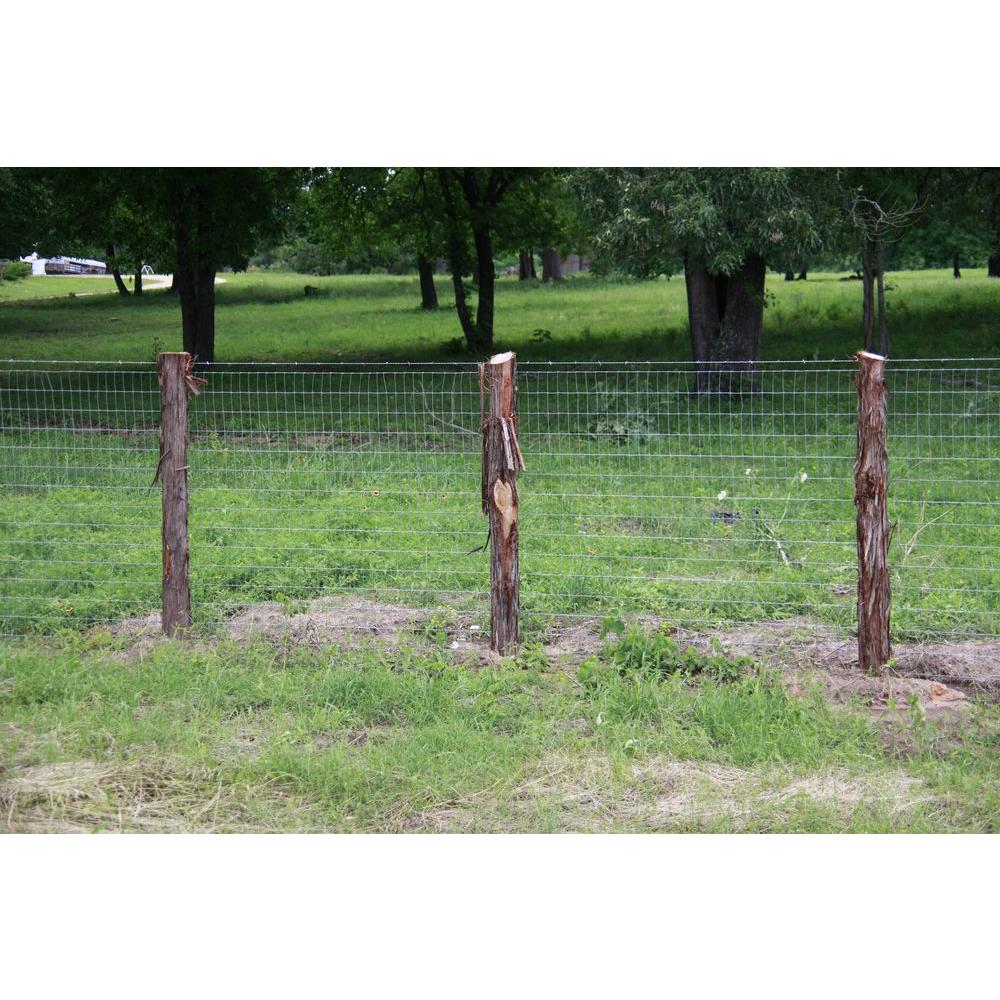 wire fence staples