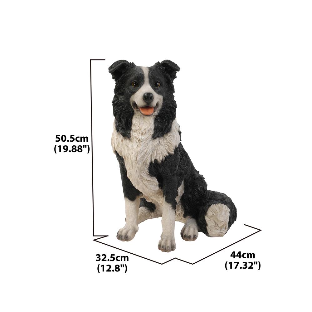 border collie products