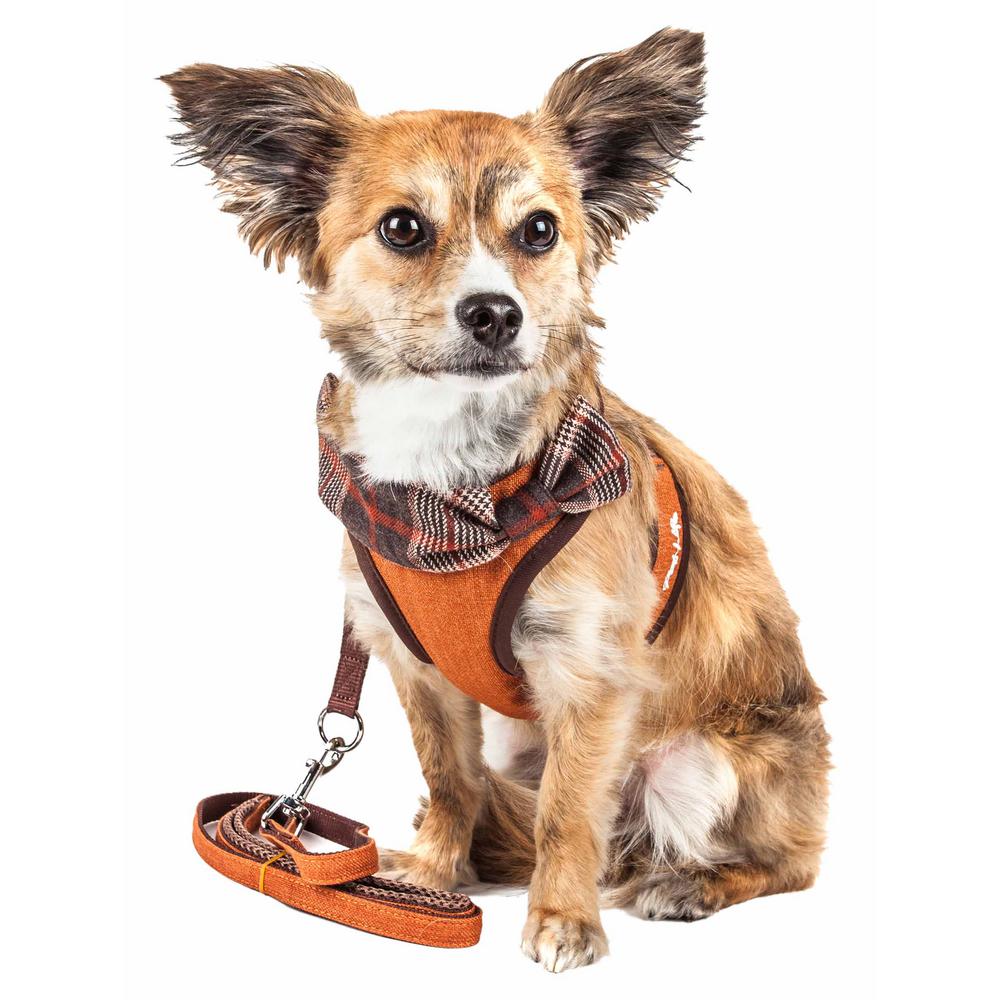 pets at home dog harness
