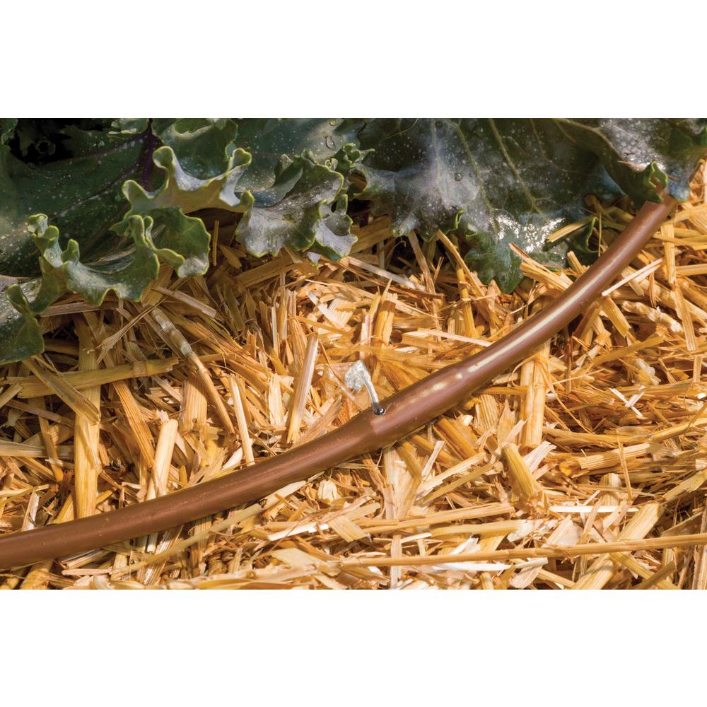 1/2 in. x 50 ft. Emitter Tubing Coil Rain Bird Drip Irrigation Outdoor