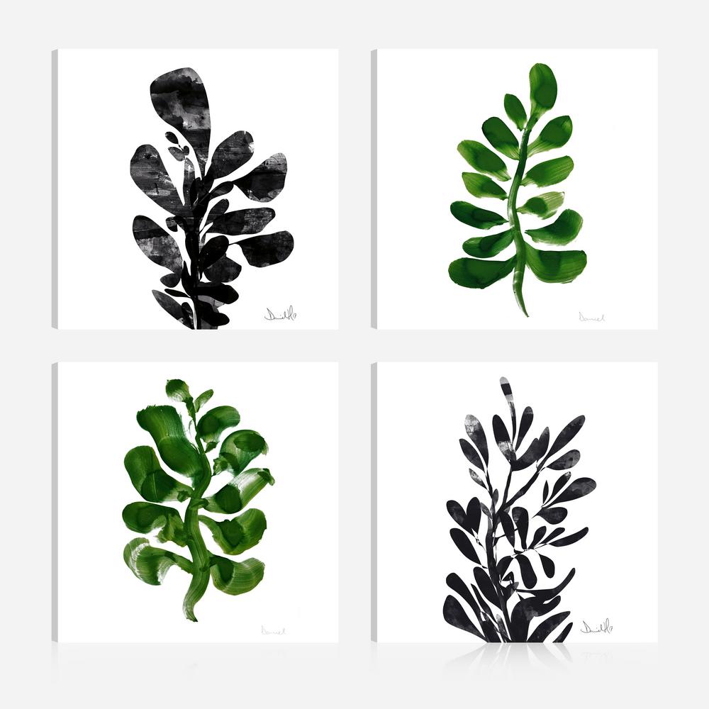 Artmaison Canada Botanical Plant Prints16 In X 16 Giclee
