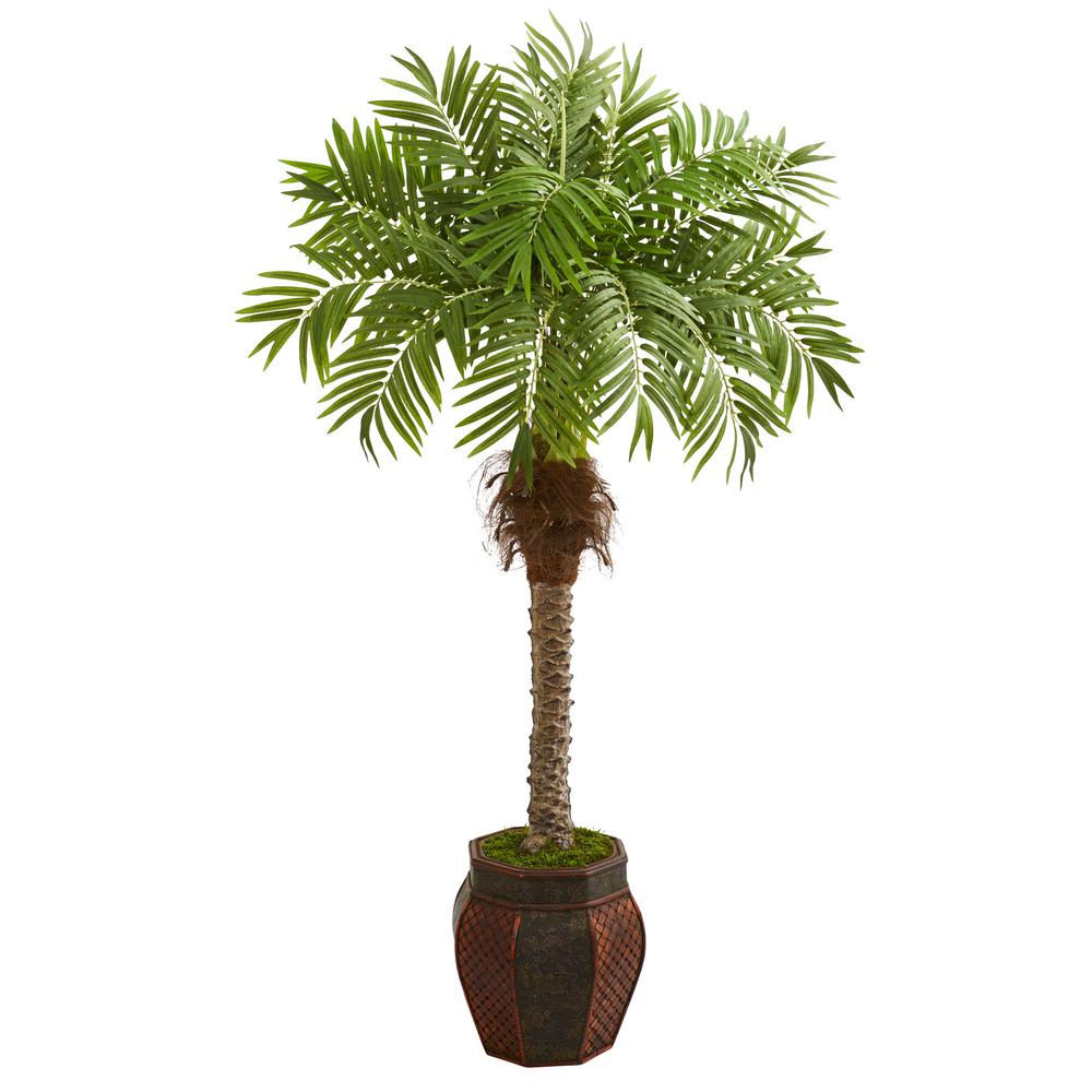 Nearly Natural Indoor 62 Robellini Palm Artificial Tree In Decorative Planter 9426 The Home Depot,Dog Seizures Cause