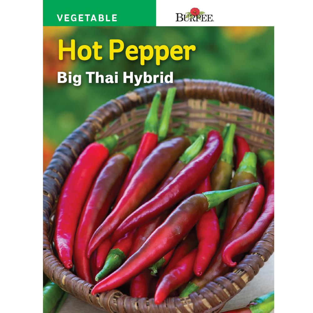 Burpee Asian Pepper, Hot Big Thai Hybrid Seed-54176 - The Home Depot