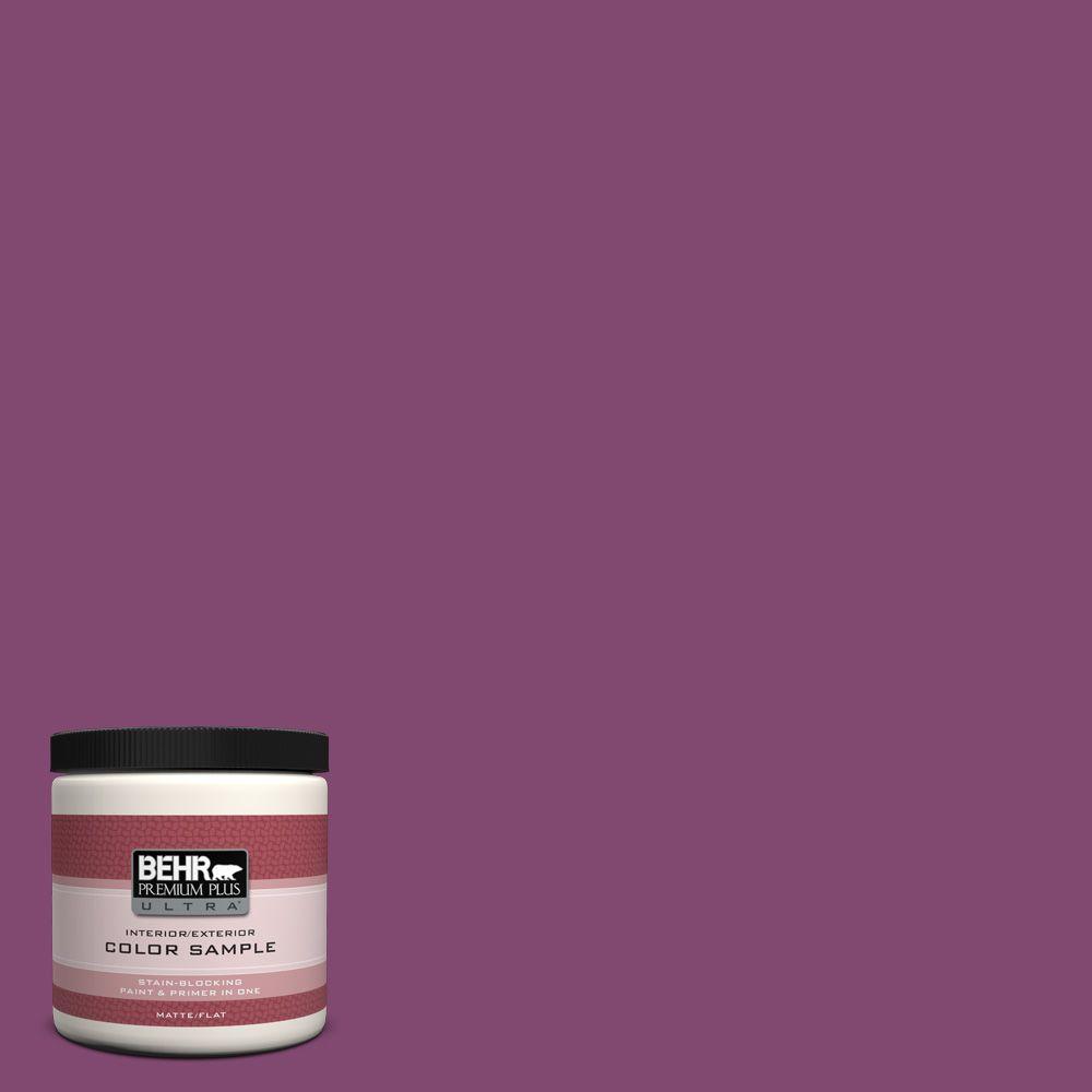 BEHR Premium Plus Ultra 8 oz. #680B-7 Sugar Plum Interior/Exterior ...