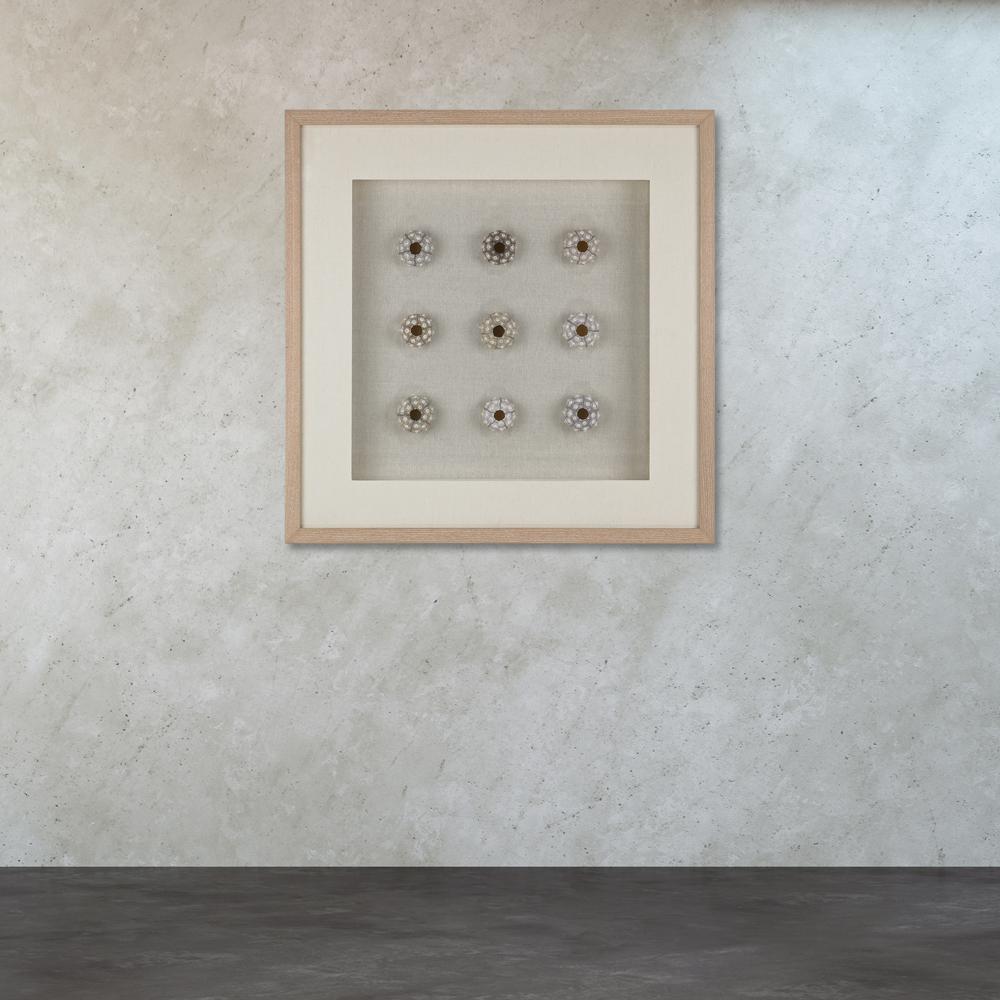 An Lighting 26 In X Sea Urchin Wall Art Tn 891367 The Sea Urchin Wall Art