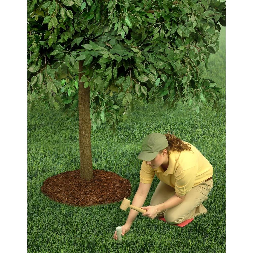 FERTILIZER SPIKES 9 PACK Fruit and Citrus Tree Feed All Season Pound 2.