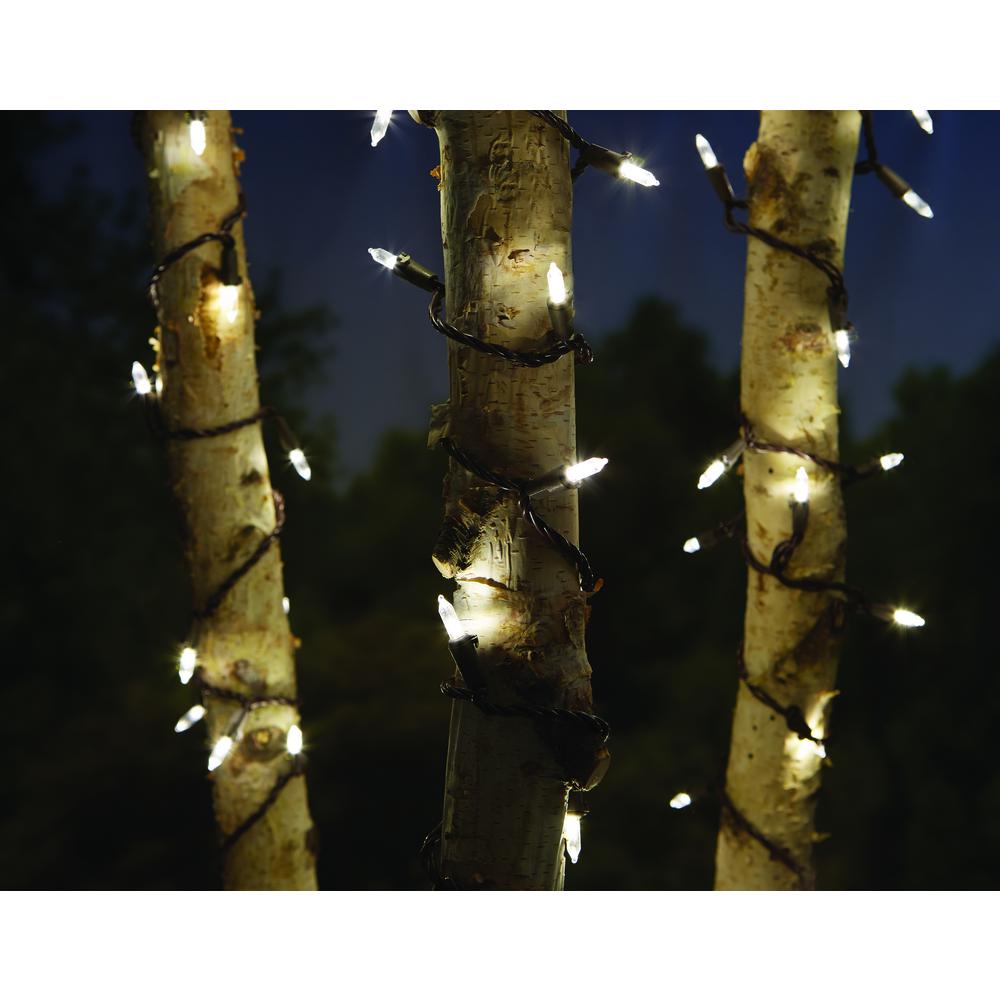 String Lights Outdoor Lighting The Home Depot 100 Light Led Smooth Mini Warm White Garden