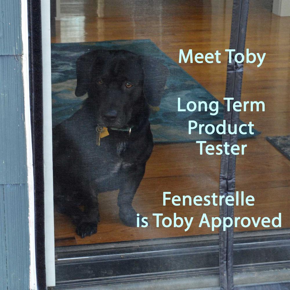 dog proof screen door home depot