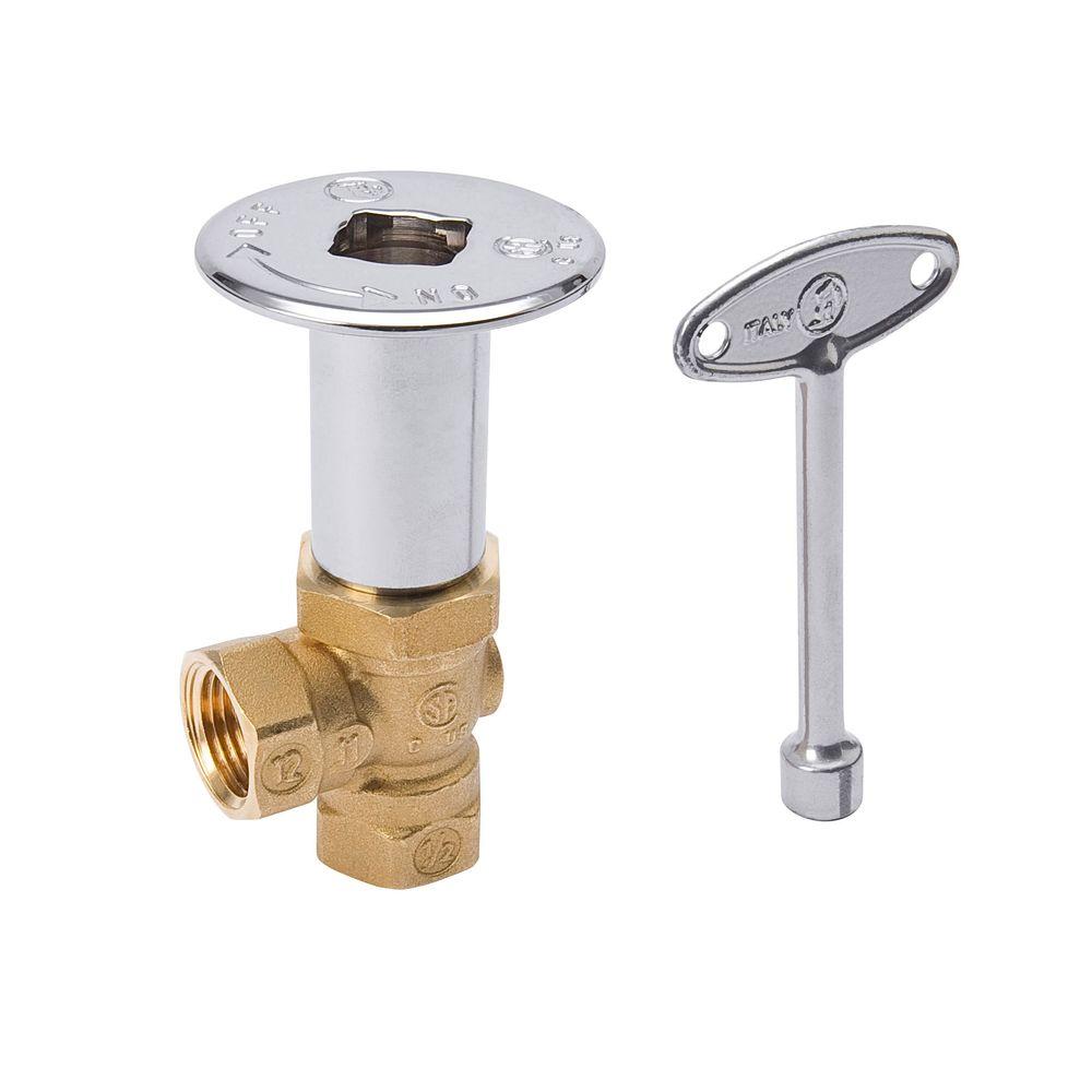 BK PRODUCTS 1/2 in. FIP Brass Angle Gas Valve, Floor Plate and 3 in ...