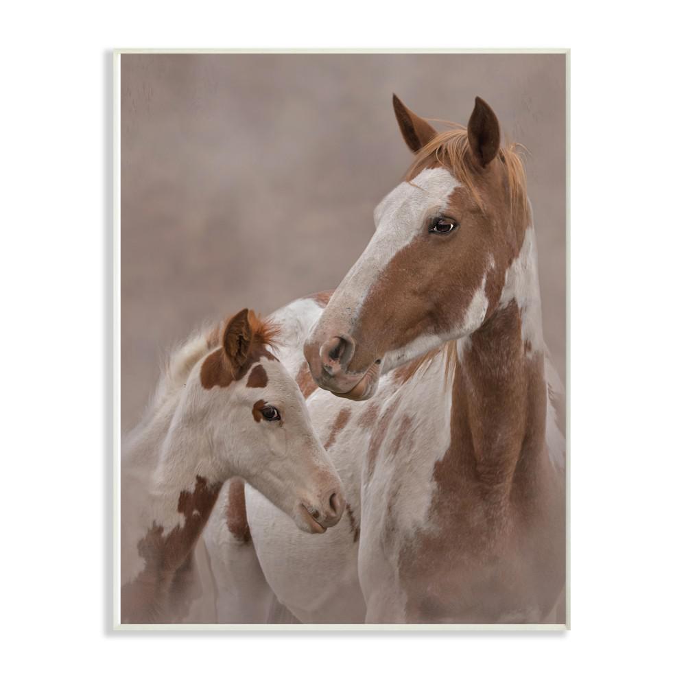 Stupell Industries 13 in. x 19 in. Horse Family Photograph by Larry McFerrin Wood Wall Art, Multi-Colored - aap-195wd13x19 - Cooking Modern and Trendy is great and all, but sometimes  sku aap-195wd13x19