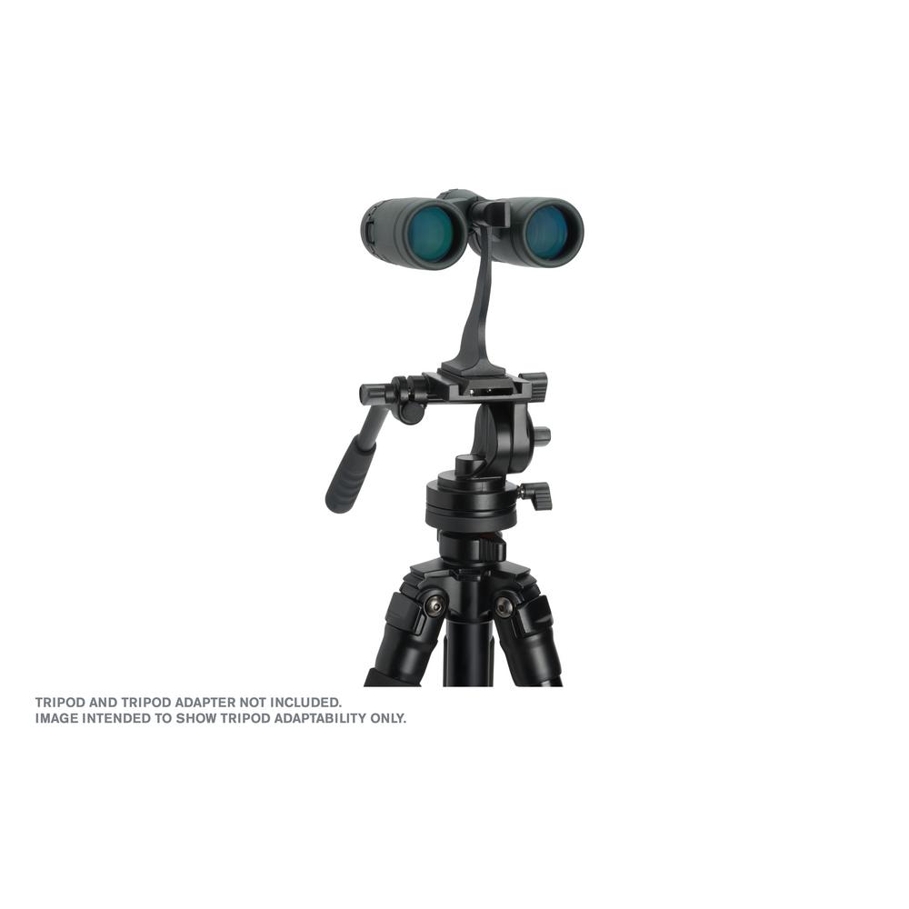 celestron trailseeker 8x32