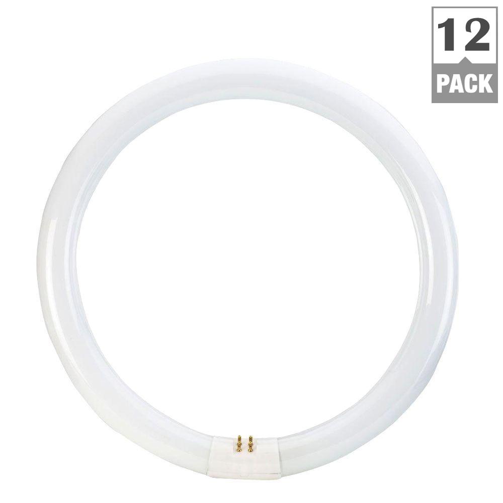 12 Fluorescent Light Bulbs The Home Depot 32 Watt 12 In Circline Linear T9 Fluorescent Light Bulb Daylight Deluxe