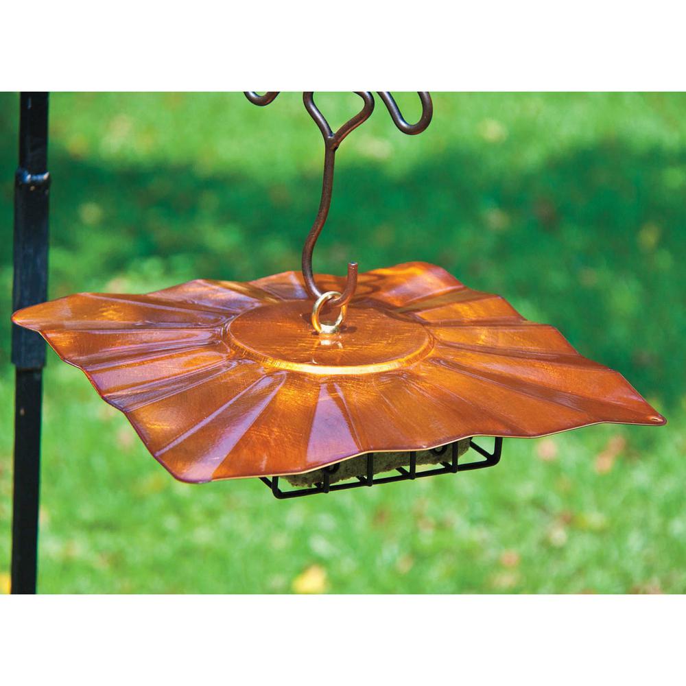 Audobon Workshop Sheltered Upside Down Hanging Suet Feeder 4434