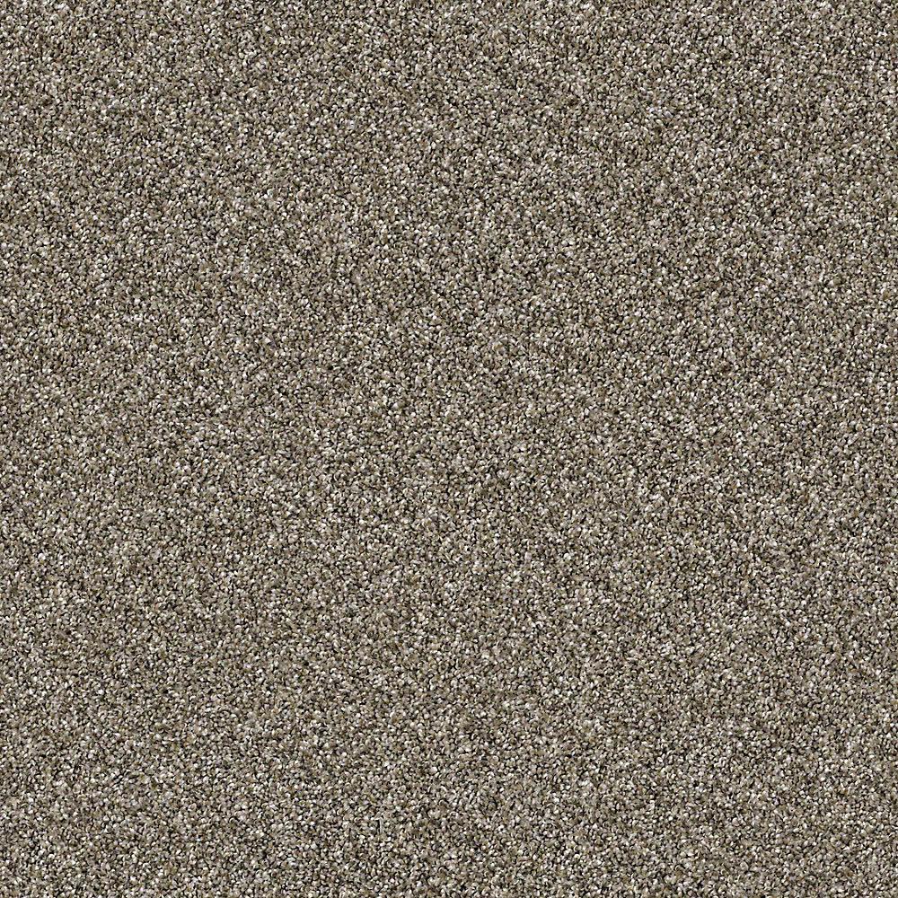 Home Decorators Collection Wholehearted III Color Park Trail Twist 12 ft. CarpetHDF0813124