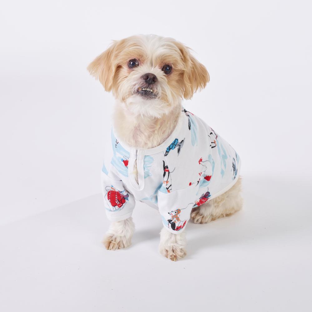 dog sleepwear
