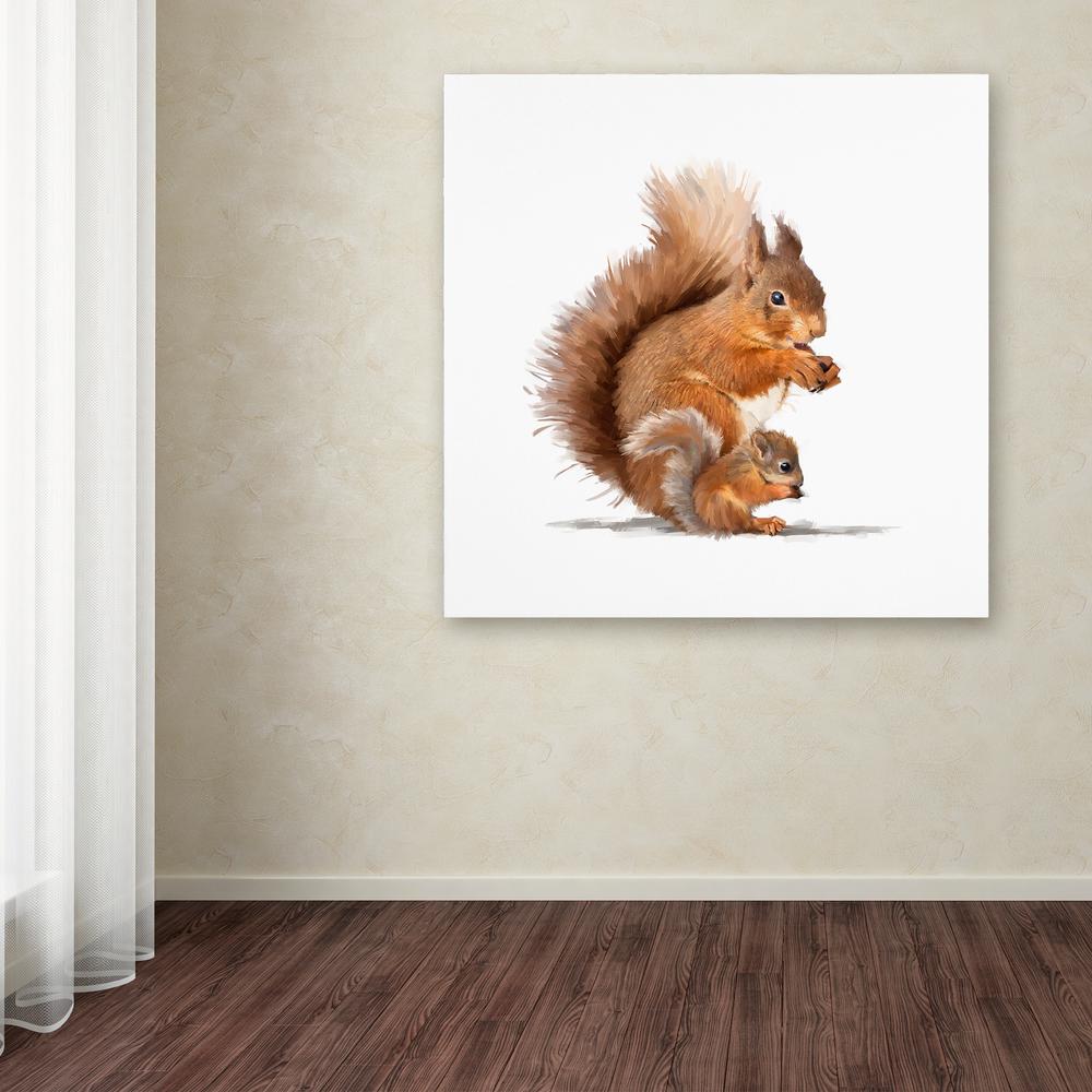 Trademark Fine Art 14 In X Squirrel By The Macneil Studio Squirrel By The Macneil