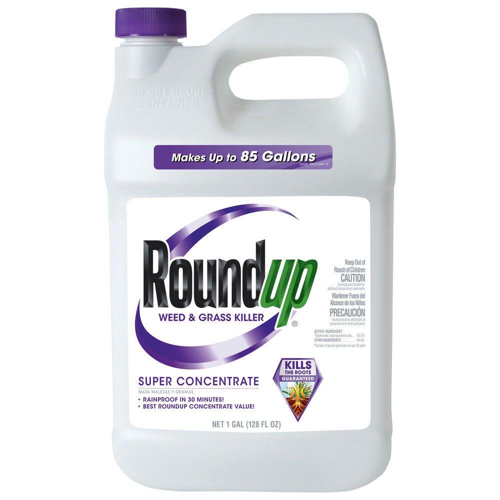 Roundup 1 Gal. Super Concentrate Weed and Grass Killer (Case of 4