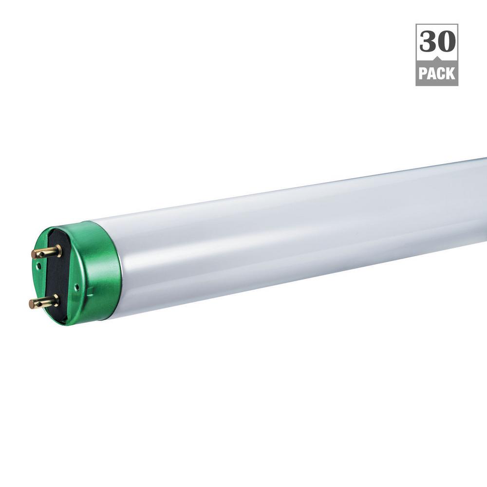 Halco 109428 F32T8//865//ECO F32 T8 Bulb 6500K 4 Foot Light Lighting Fluorescent Tube Case of 25