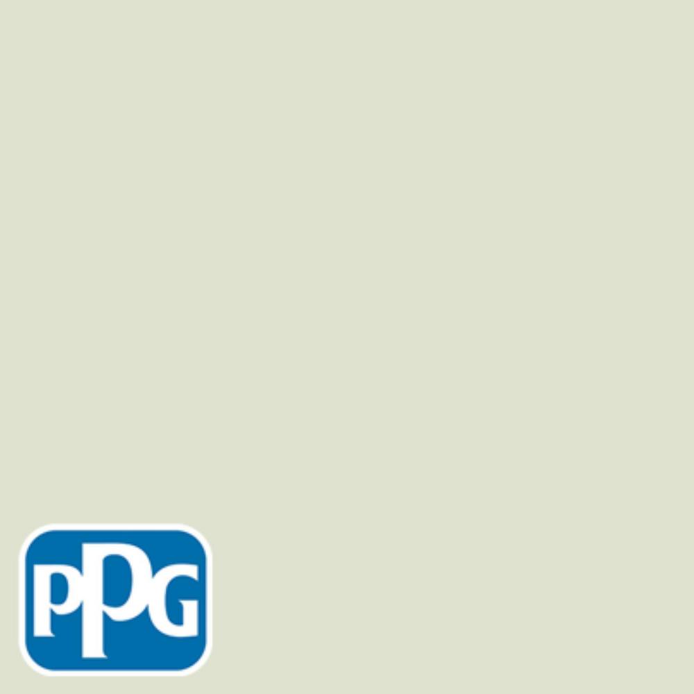 Ppg Timeless 8 Oz Hdppgg48 Pale Pistachio Flat Interior Exterior Hdppgg48 Pale Pistachio Flat Interior Exterior Paint Sample