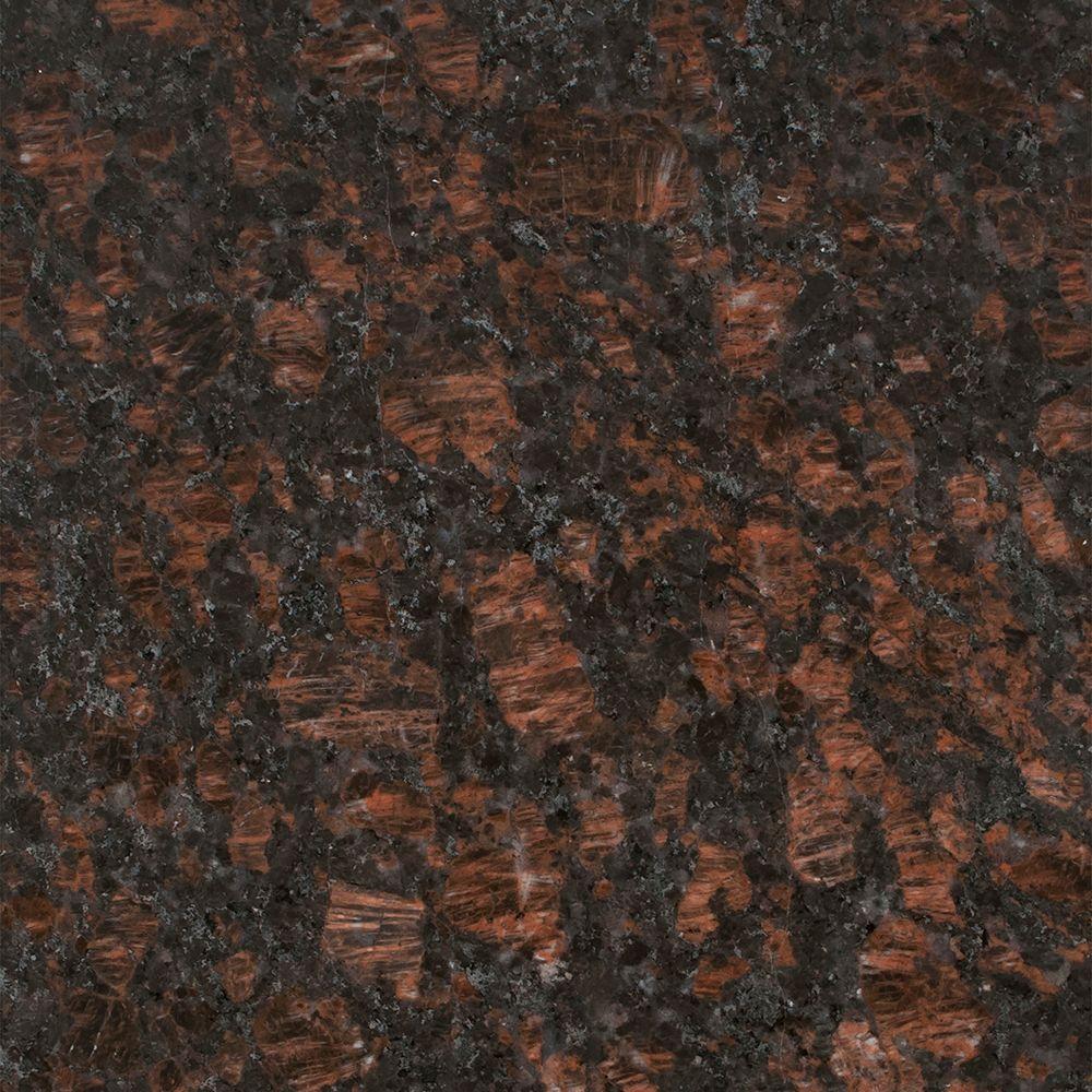 Stonemark 3 In X 3 In Granite Countertop Sample In Tan Brown Dt