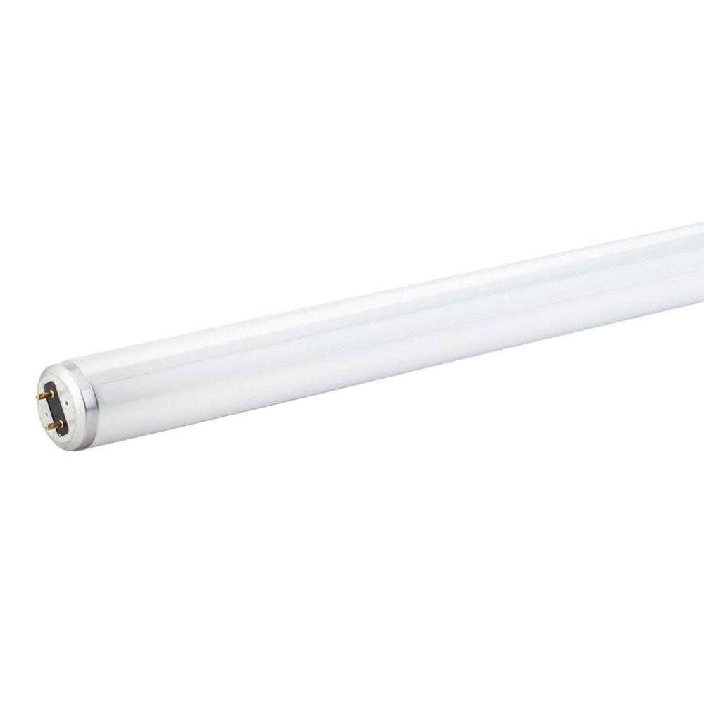 Philips 15-Watt 18 in. Linear T8 Fluorescent Light Bulb Cool White