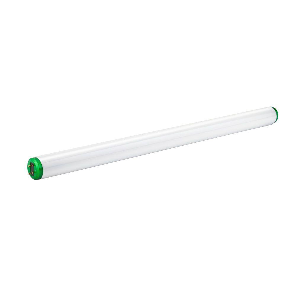 Philips 2 Ft. T12 20-Watt Daylight (6500K) Linear Fluorescent Light ...