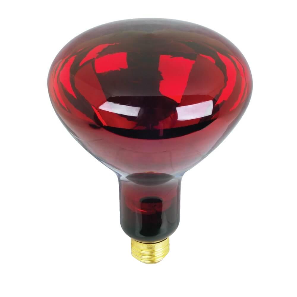 Feit Electric BR40 250Watt 120Volt Incandescent Red Heat Lamp Light