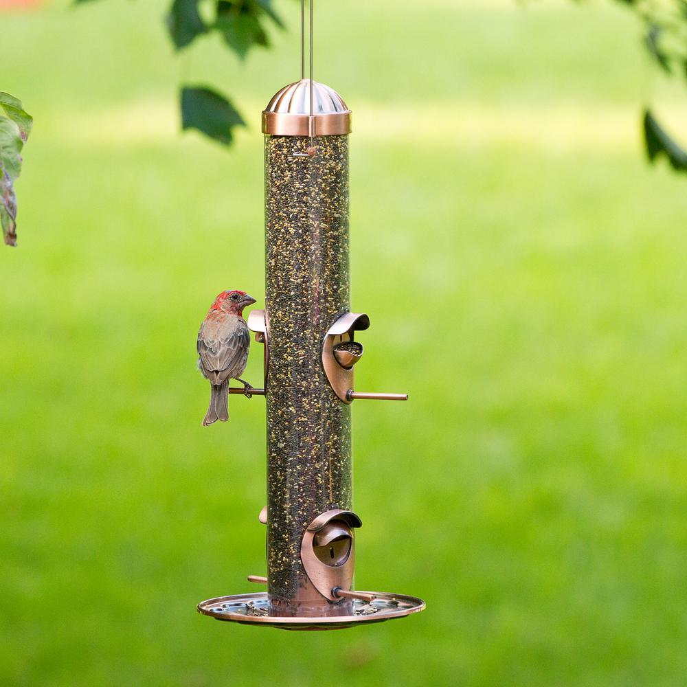 Perky Pet 2 In 1 Copper Hanging Bird Feeder 1 Lb Capacity 385 2