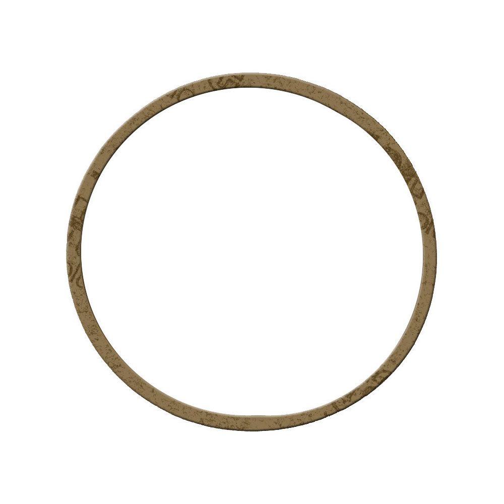 Briggs & Stratton Replacement Float Bowl Gasket281165S The Home Depot