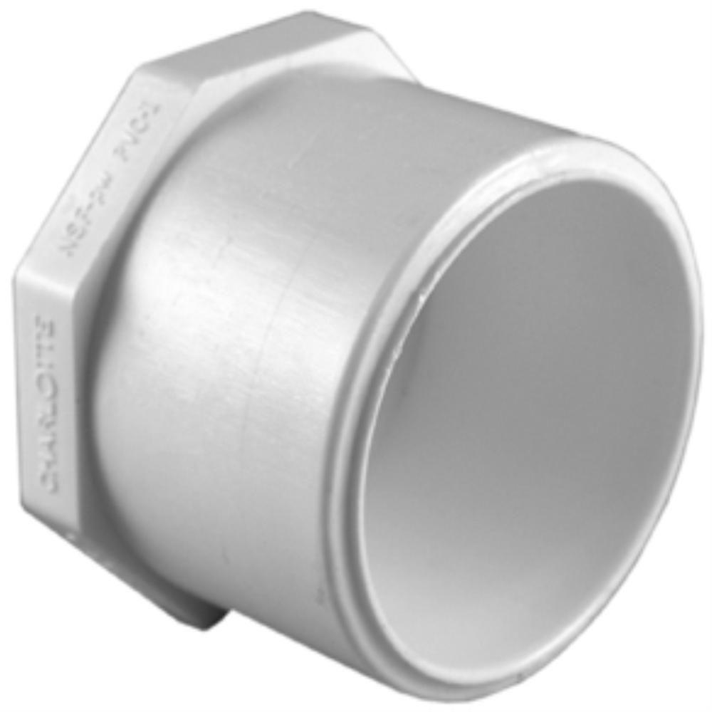 Schedule 40 PVC Plug 1 Spg