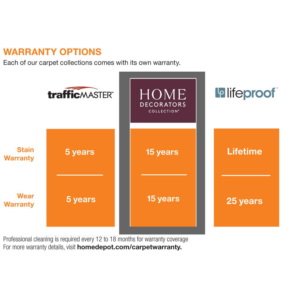 Lifeproof Superiority Ii Color Artist Canvas Texture 12 Ft Carpet 0654d 24 12 The Home Depot