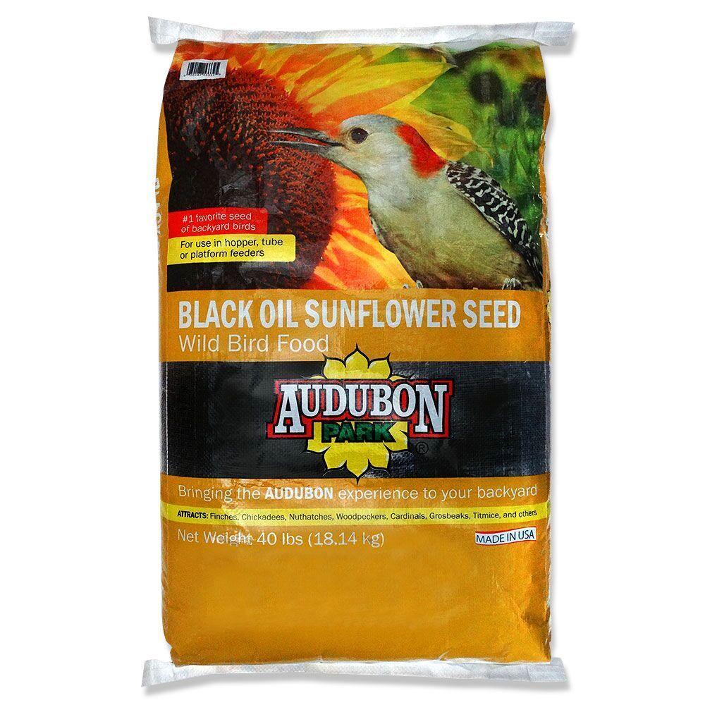 black sunflower seeds for birds home depot audubon park 40 lb sunflower seed 12173 the home depot black sunflower seeds for birds home depot audubon park 40 lb sunflower seed 12173 the home depot