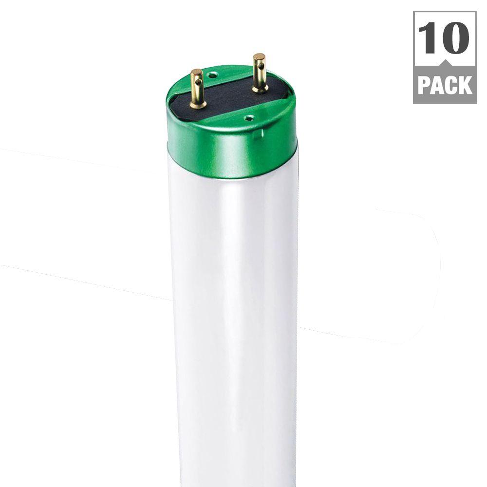 4 ft. T8 32-Watt Daylight (6500K) ALTO Linear Fluorescent Light Bulb (10-Pack)