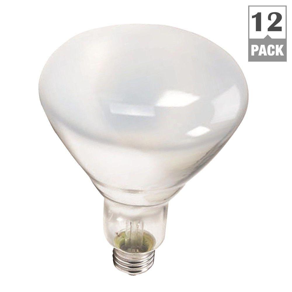 Philips 65Watt Incandescent BR30 Flood Light Bulb (12Pack per Case