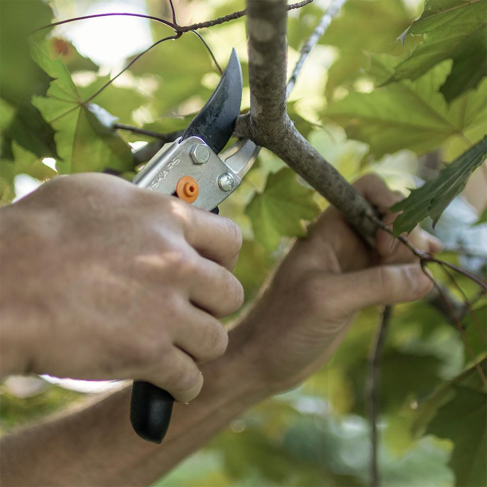 pruners home depot