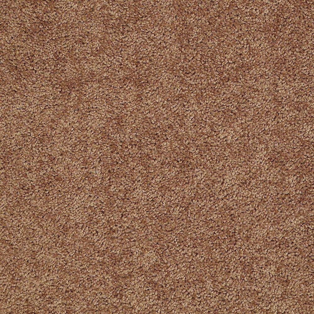 TrafficMASTER Alpine Color Harmony Texture 15 ft. CarpetHDD8685721