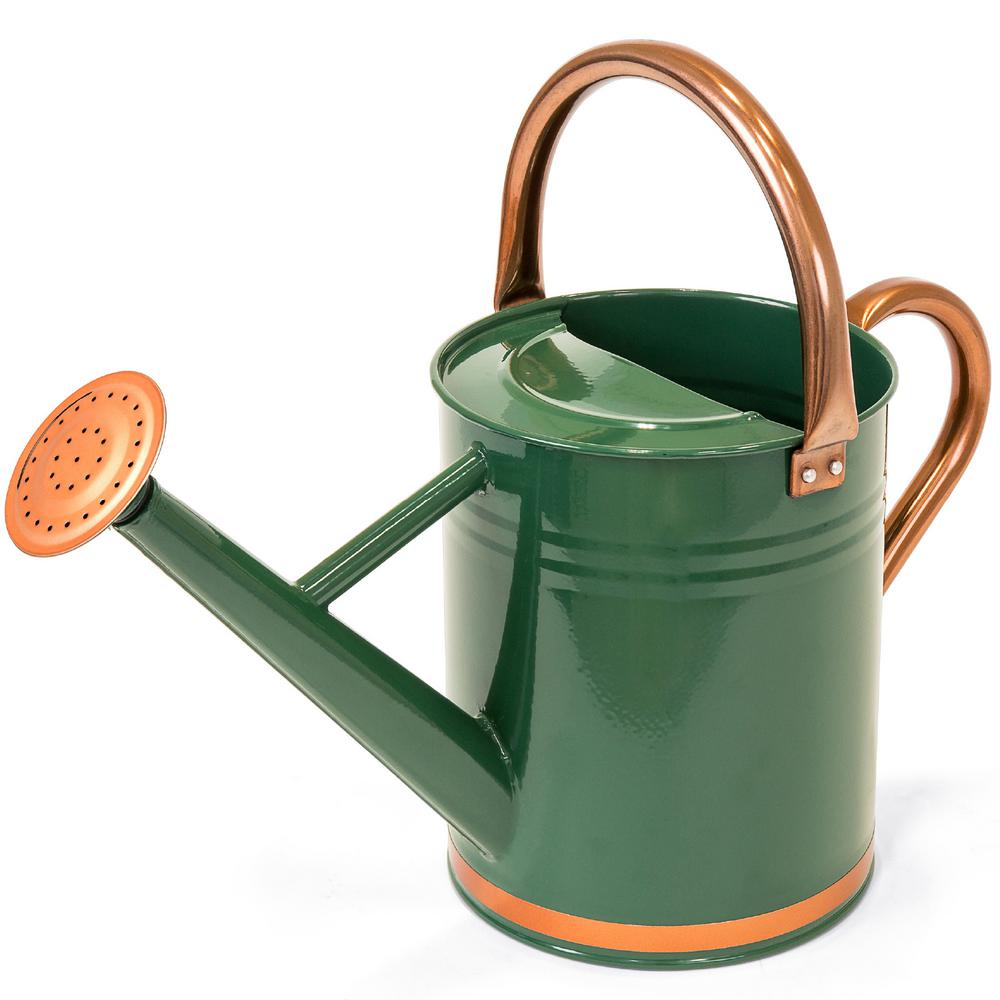 Best Choice Products 1 Gal. Watering Can-SKY4191 - The Home Depot