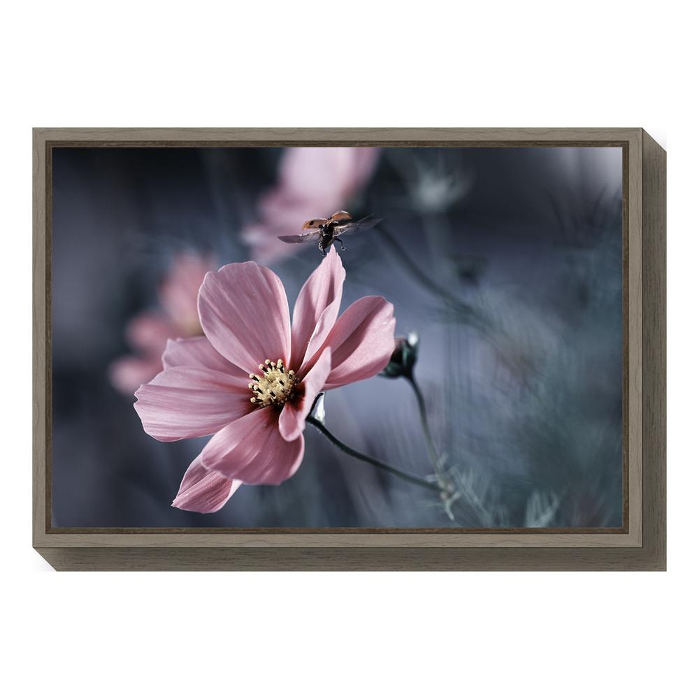 Amanti Art "Symphony" by Jeroen van de Framed Canvas Wall Art