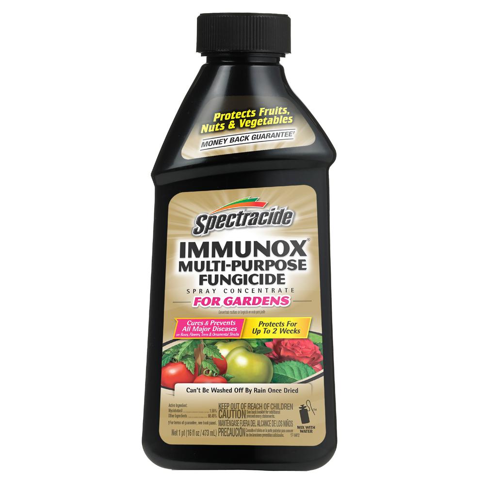 spectracide-immunox-multi-purpose-fungicide-16-oz-spray-concentrate-for