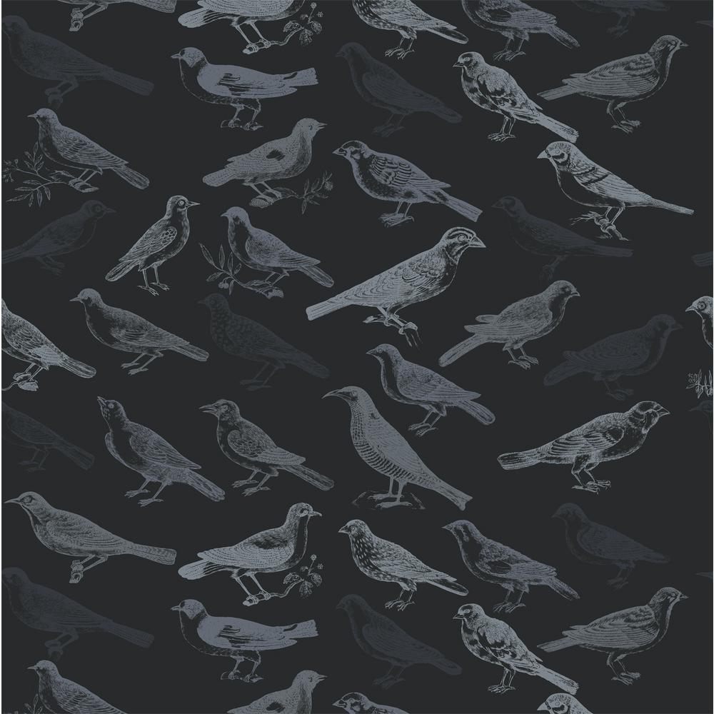 Mitchell Black Debut Collection Tweeter in Black Premium Matte Wallpaper-WC323-1PM-18 - The Home