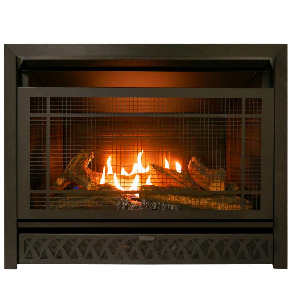 ProCom Gas Fireplace Insert Duel Fuel Technology – 26,000 BTUFBNSD28T  The Home Depot