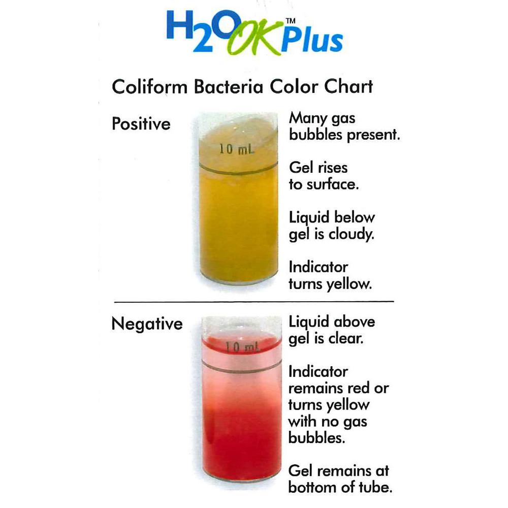 H2o Ok Plus Coliform Bacteria Color Chart