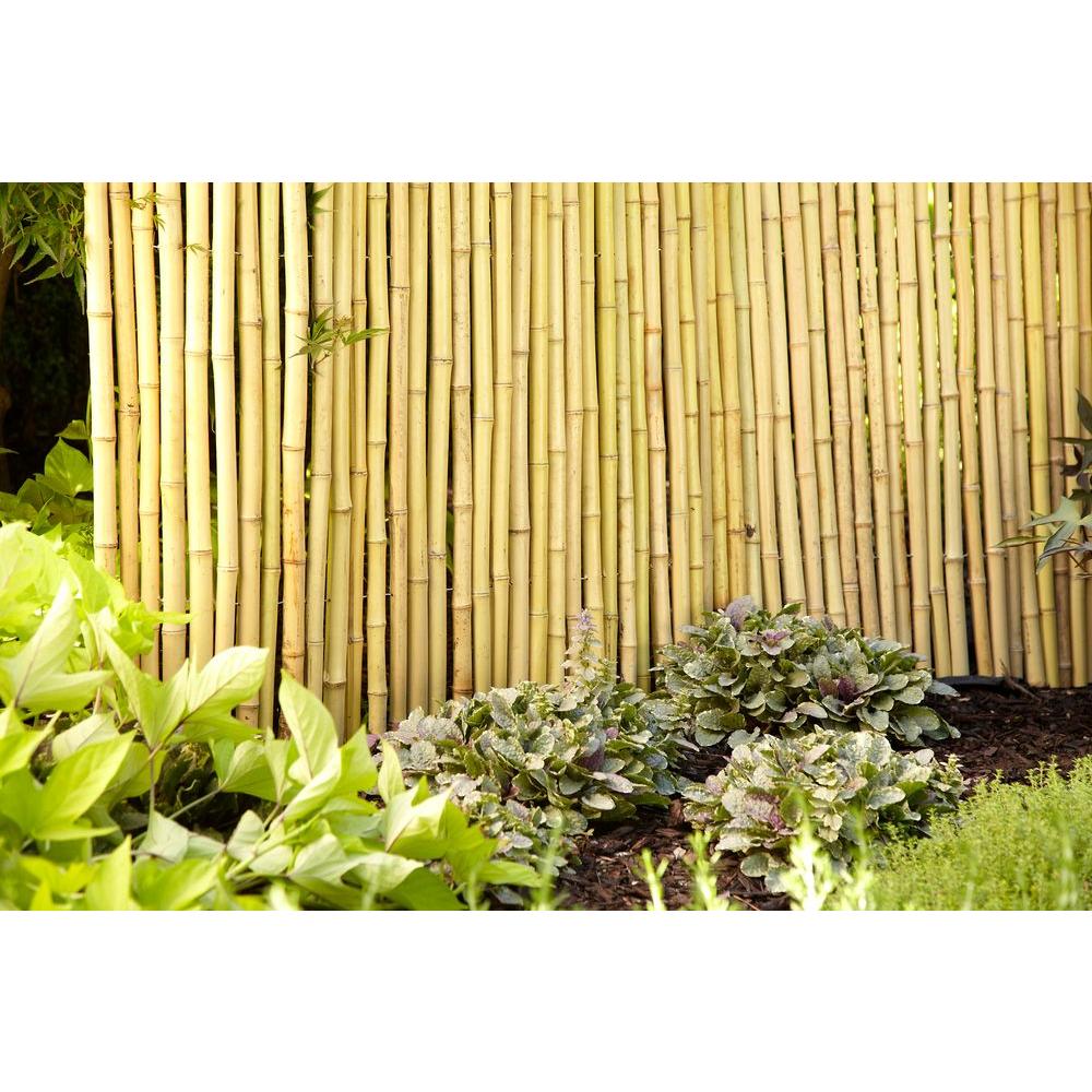 4 Ft H X 6 Ft W Natural Bamboo Fence 4477405 The Home Depot