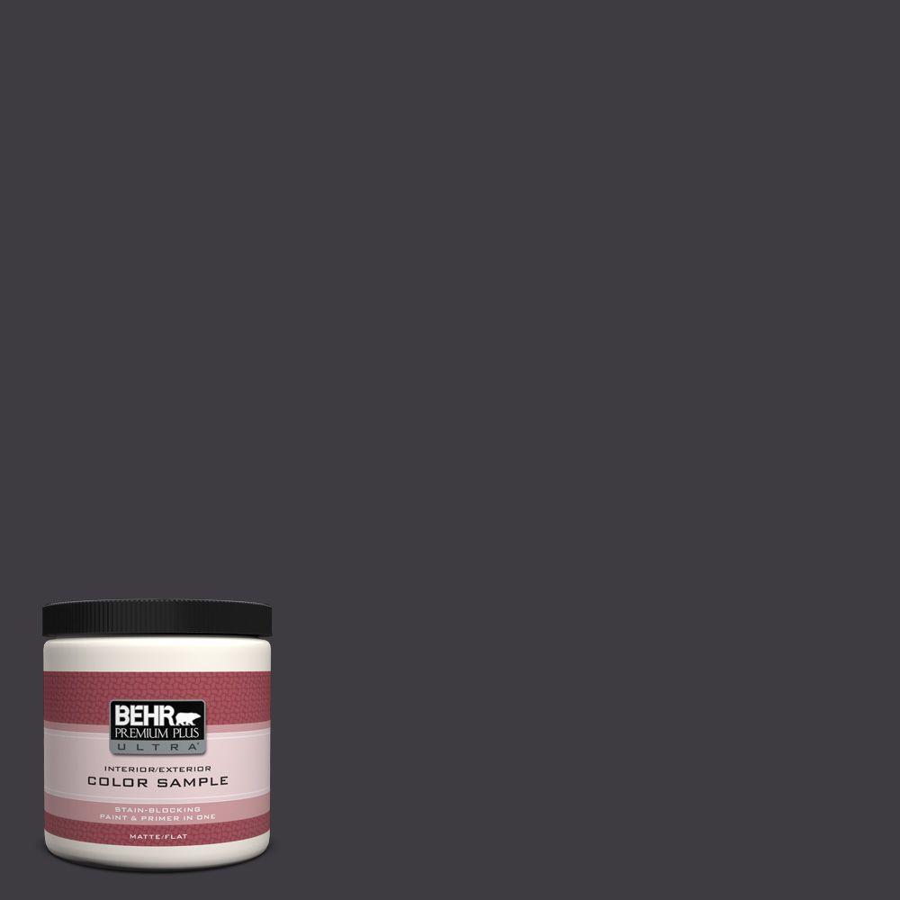 Behr Premium Plus Ultra 8 Oz Ecc 62 2 Cityscape Matte Interior Exterior Paint And Primer In One Sample