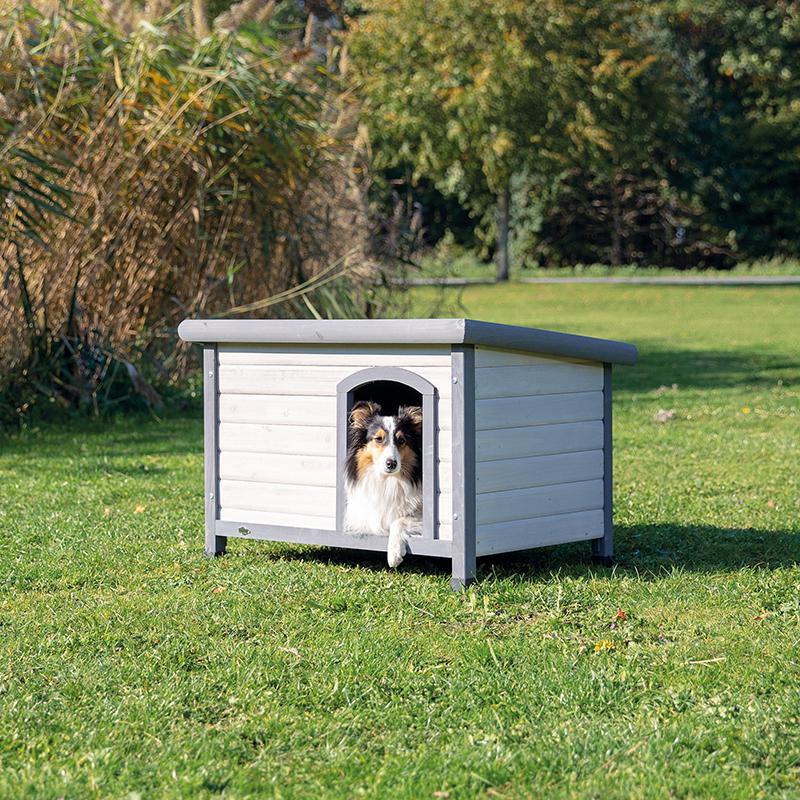 flat roof dog kennel