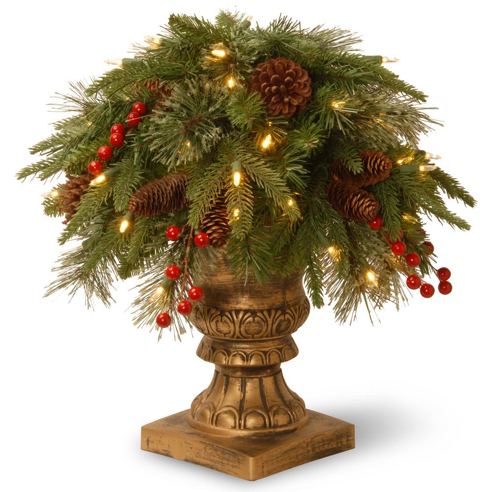 https://images.homedepot-static.com/productImages/31e0e2f7-7f7e-46d2-88dd-254e1417fc40/svn/national-tree-company-porch-christmas-trees-peco1-300-24p-64_1000.jpg