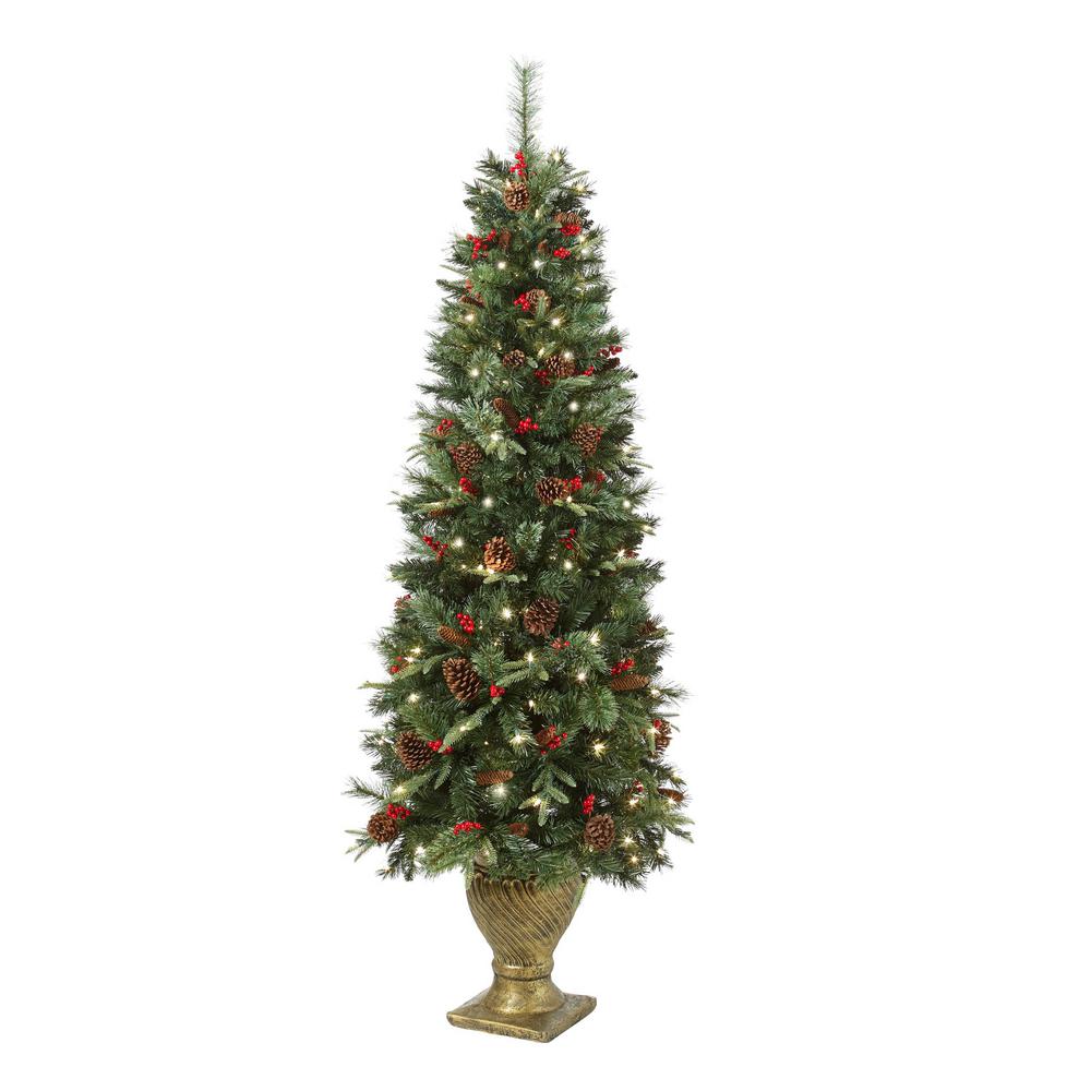 6.5 ft Paces Hill Pine Potted Pre-Lit Artificial Christmas Tree with 200 White Lights